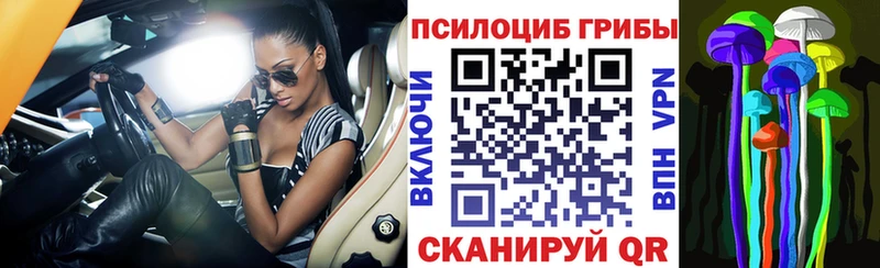 Псилоцибиновые грибы MAGIC MUSHROOMS  Томск 