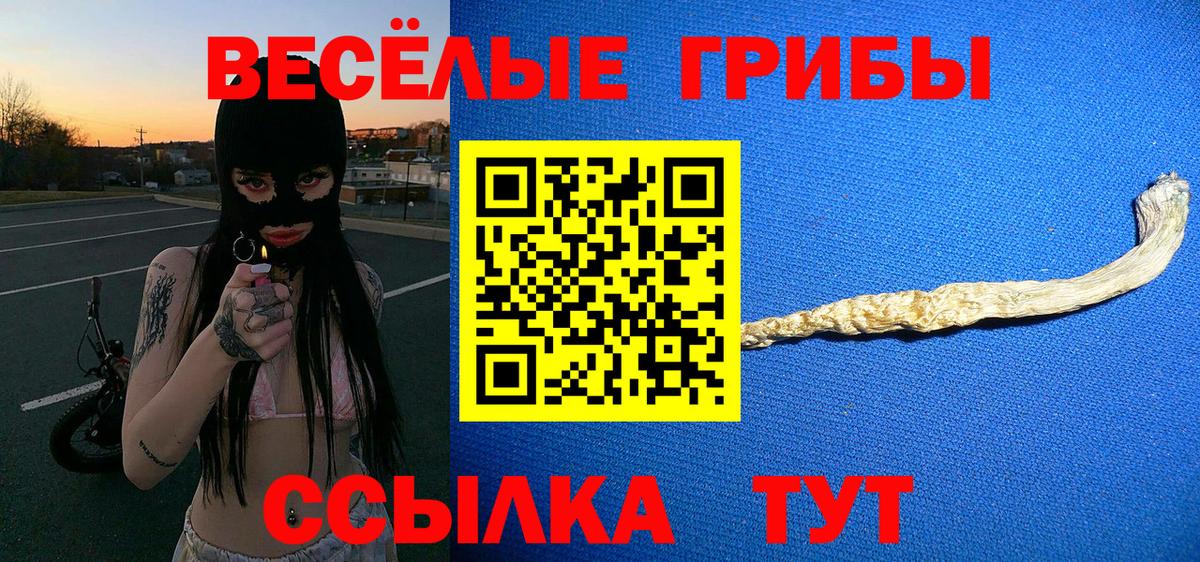 Псилоцибиновые грибы Psilocybe  Вход с VPN  продажа наркотиков  Томск 